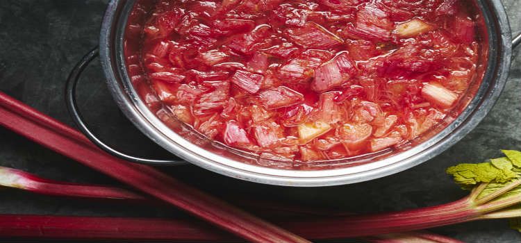 rhubarb - yorkshire food