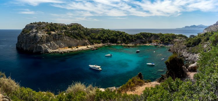 Anthony Quinn Bay