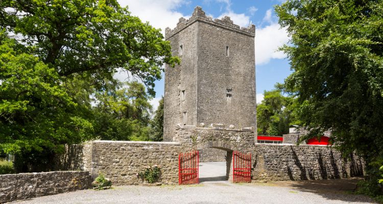County Meath Castle