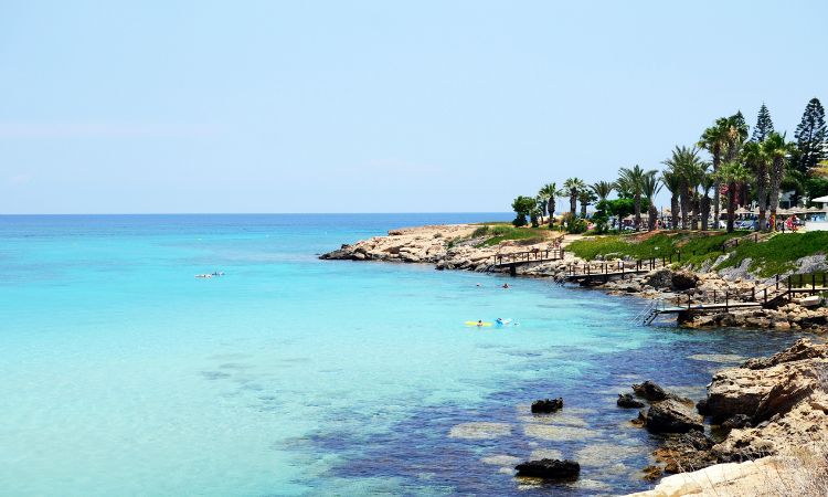 Fig tree bay Cyprus