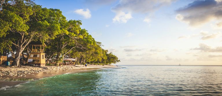 Barbados Travel Guide