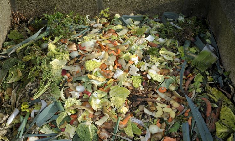minimise food waste - tackle climate change for earth day