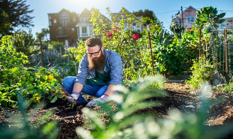 community gardening - tackle climate change earth day