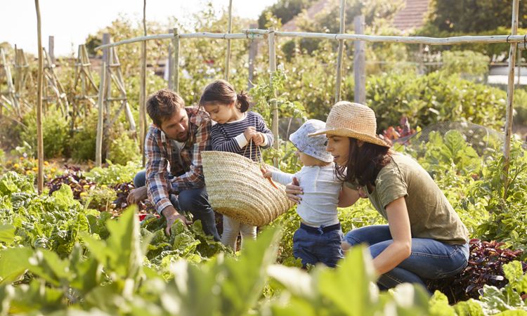 The best ecotherapy activities