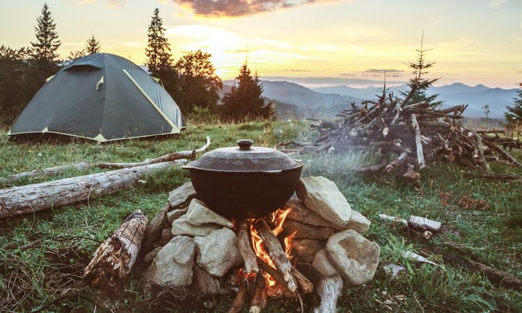 The best ecotherapy activities 