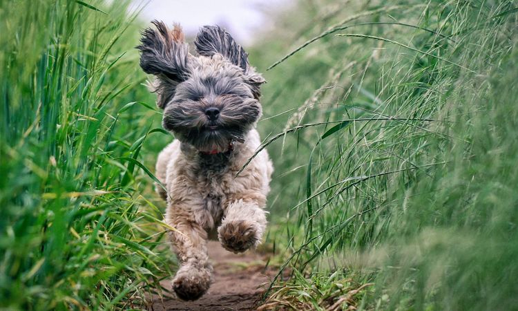 The best ecotherapy activities 