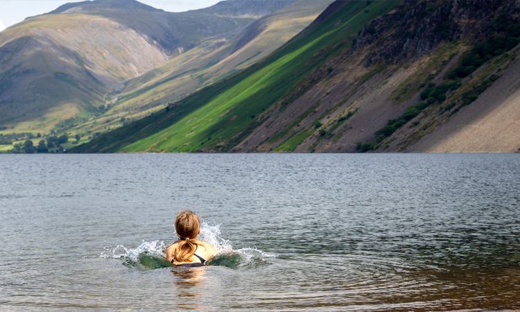 The best ecotherapy activities 