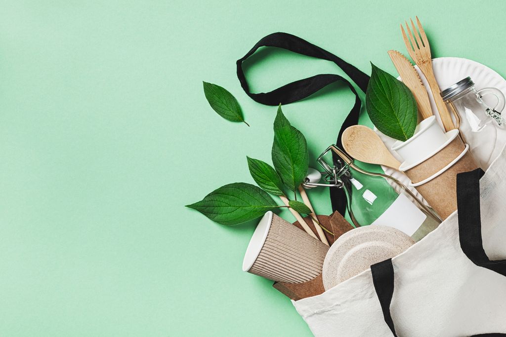 Ways to tackle climate change - Earth Day