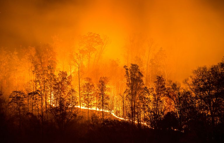 Tourism Declares Climate Emergency