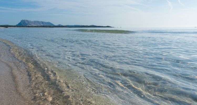Spiaggia La Cinta. Sardinia