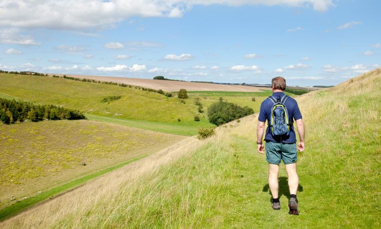 Yorkshire countryside with man walking