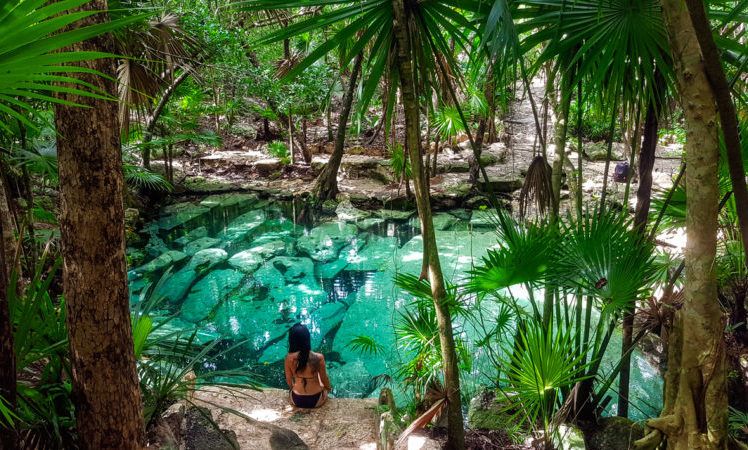 Green paradise cenote azul with palm trees and ruins at bottom of the water in the Riviera Maya, Yucatan Peninsula