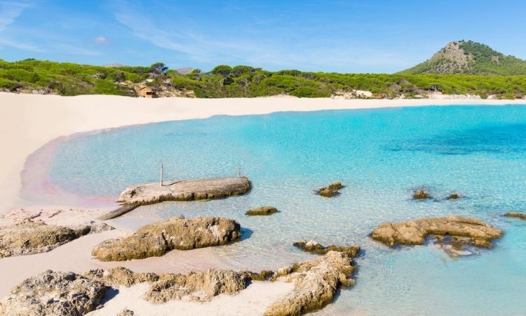Cala Agulla Best Beaches in Mallorca