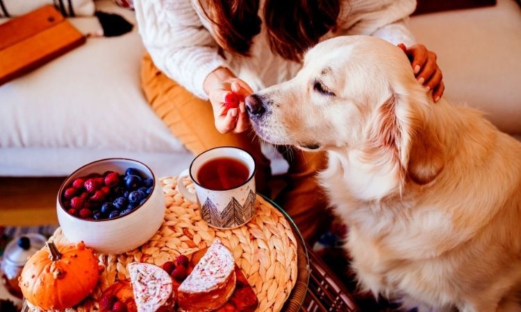 ‘Afternoon Tea and Bones’