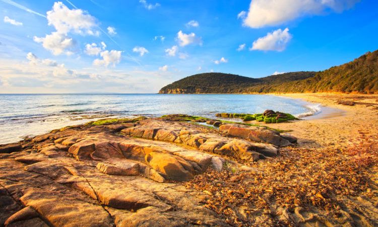 Cala Violina bay beach in Maremma, Tuscany. 