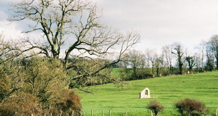 Winterborne Farringdon, Dorset