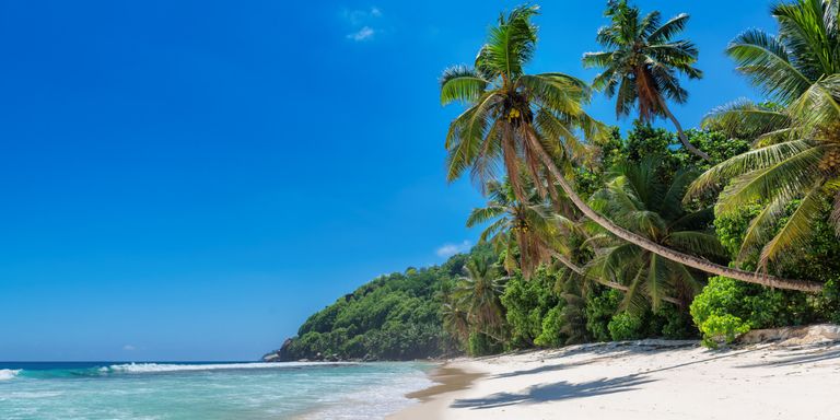 Jamaica