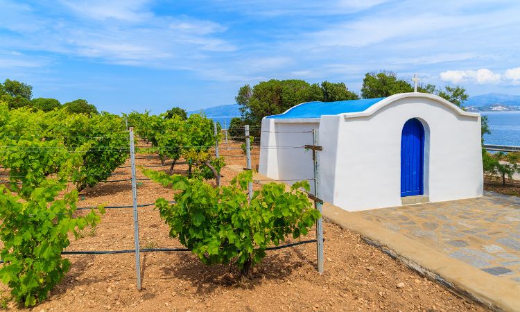Wine tour