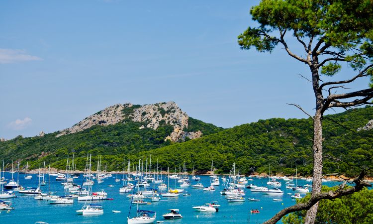 Porquerolles
