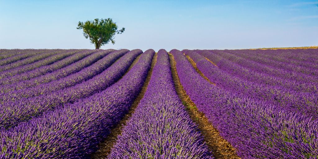 Provence