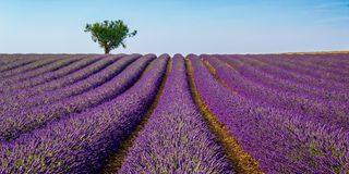 Provence