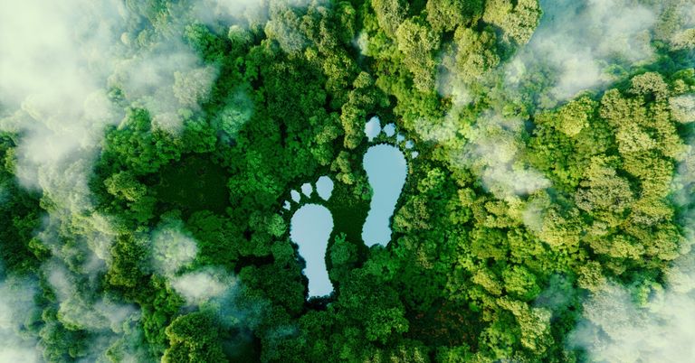 Sustainable travel