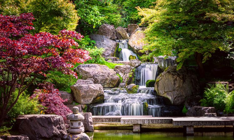 Kyoto Gardens