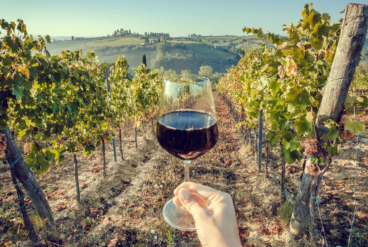 Wine experiences in France