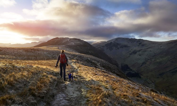 Dog walking