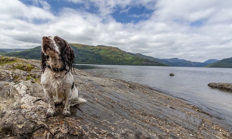 Loch Lomond