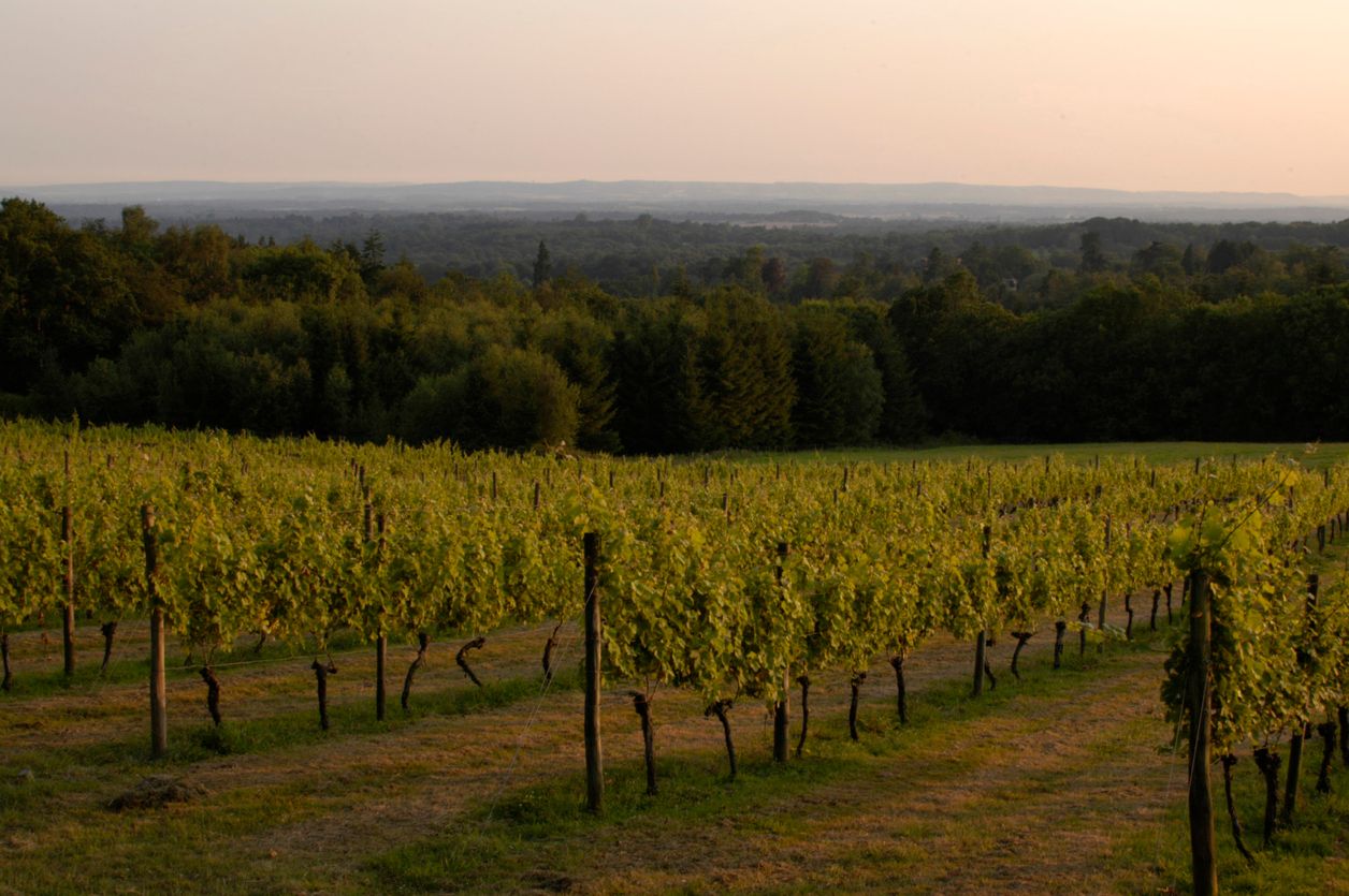 Nyetimber