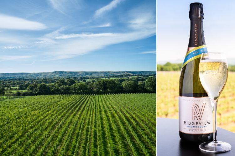 Ridgeview Wine Estate