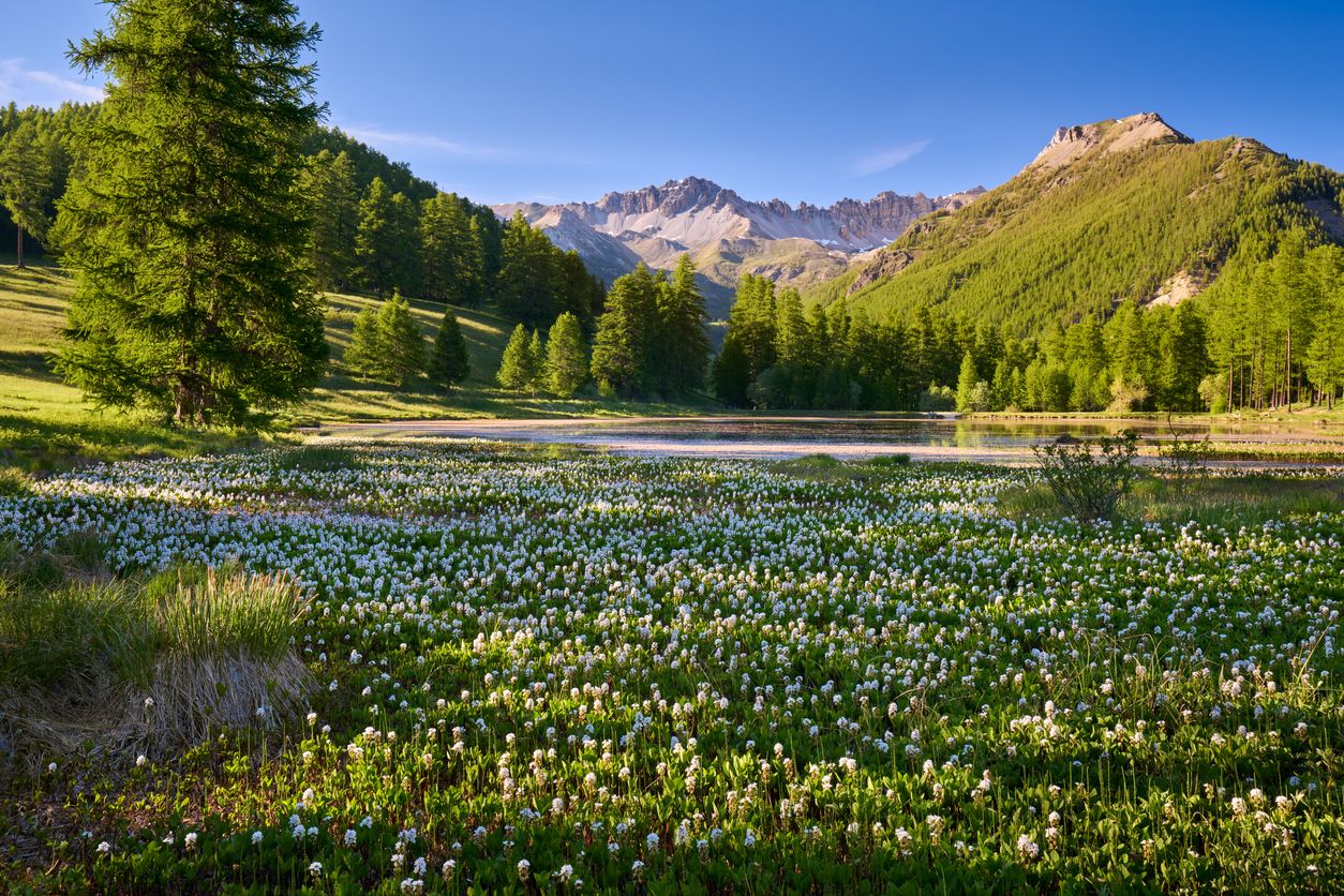 Alps - where to go in August