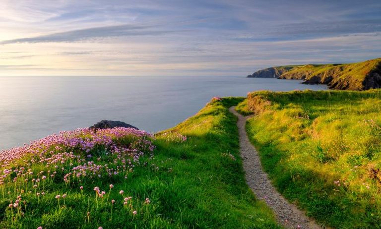 Coastal walking path Pembrokeshire