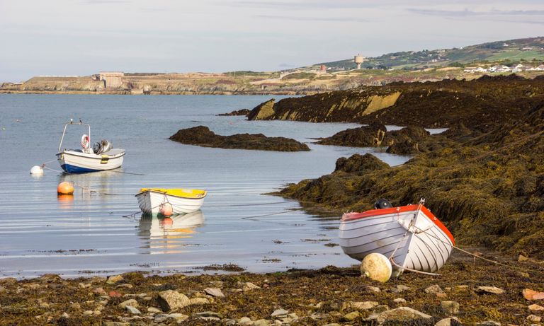 Traeth Mawr, Cemaes