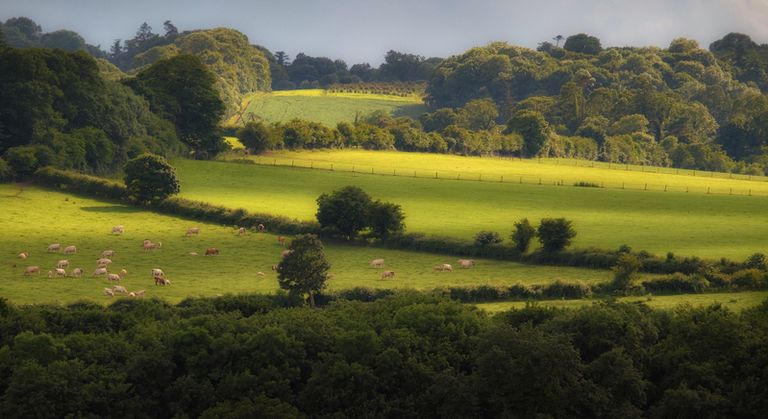 Boyne Valley, County Meath