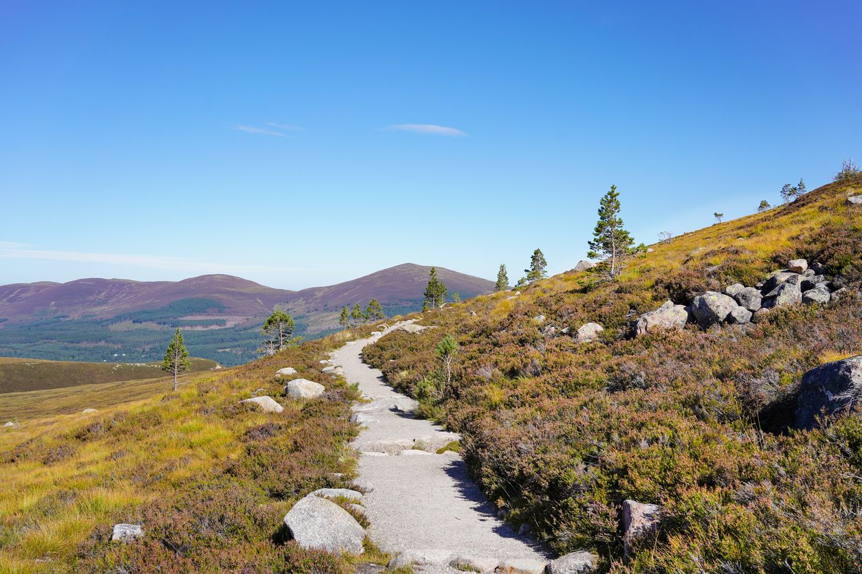 Cairngorms - UK's most popular parks