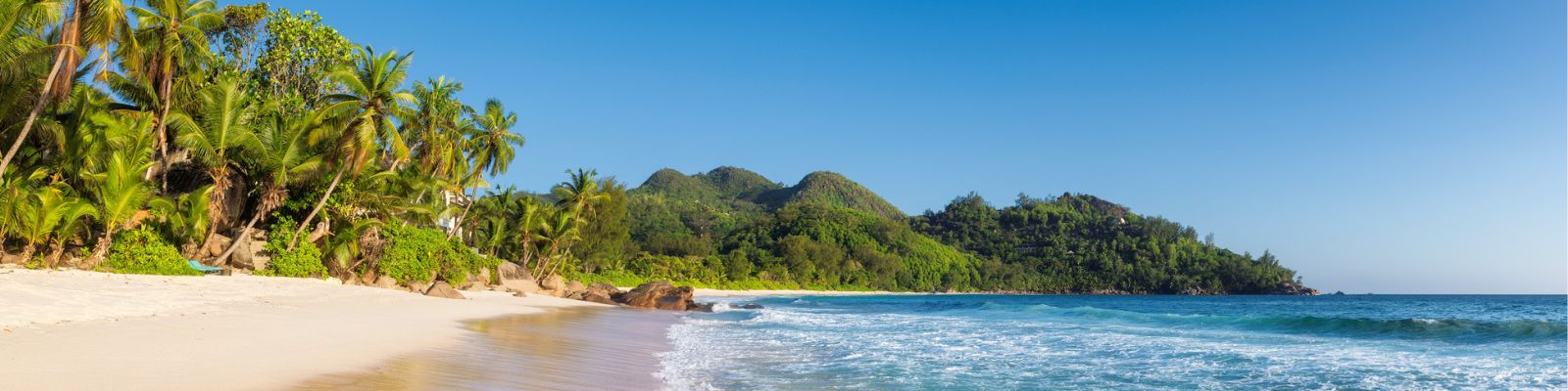 Beach in Jamaica