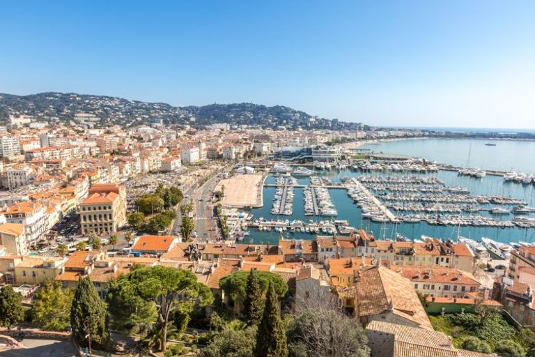 Luxury boats in Cannes marina