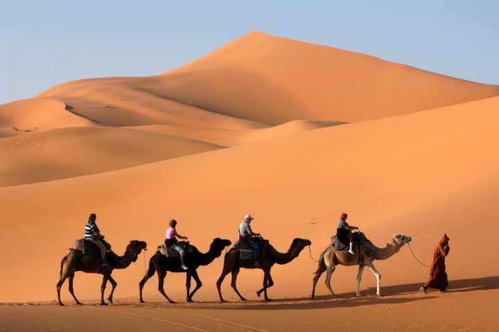 Camel riding in the Sahara Desert, Morocco