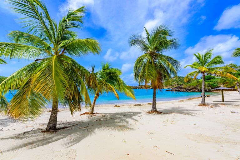 Galleon Beach On Caribbean Island Antigua
