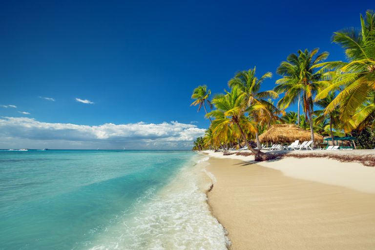 White sand beach with palm trees, Caribbean