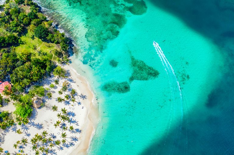 Aerial Drone View Of Beautiful Caribbean Tropical Island Cayo Levantado Beach With Palms And Boat. Bacardi Island, Dominican Republic. Vacation Background.