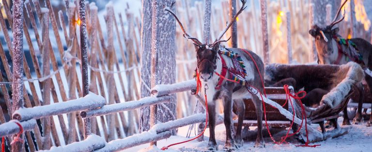 Things to do in Lapland header