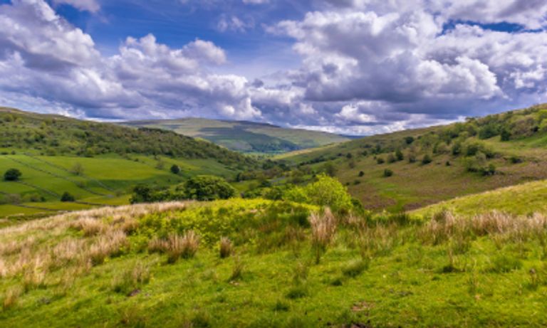 Countryside