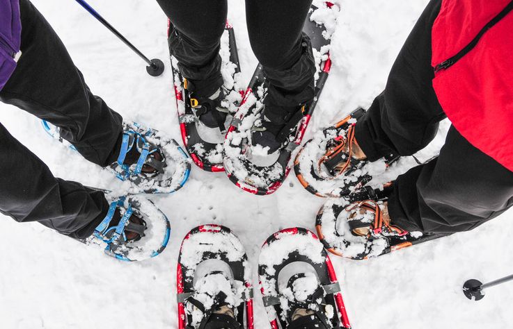 Luxury ski trip