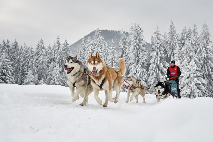Luxury ski trip