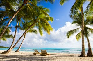 Traveller tips and reviews header