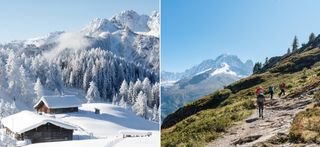 Alpine Stays header