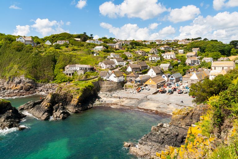 Lizard Point